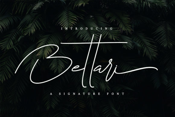 Bettari: The Script Font That Elevates Digital Branding