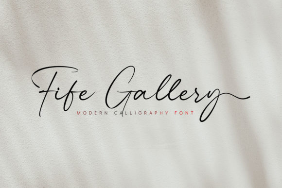 Fife Gallery: A Delicate Script Font for Elegant Branding