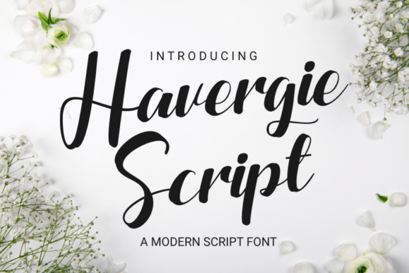 Havergie: A Chic Script Font for Editorial Design